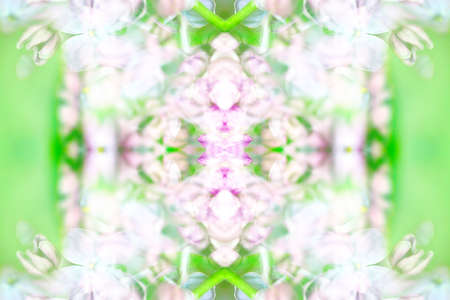 Abstract symmetrical textures created with a mirror systemの写真素材