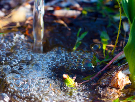 Air bubbles in a puddle on the surface of the earthの写真素材