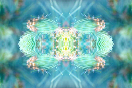 Amazing textures and patterns created by photographing wildlife through a mirror systemの写真素材