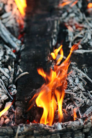 Hot fire and bright flames of the flame of an open wood fire