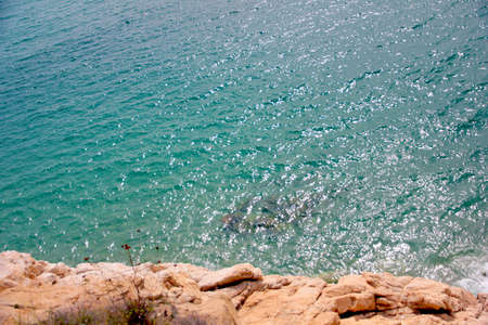 Wild rocky beach on the Mediterranean coastの写真素材