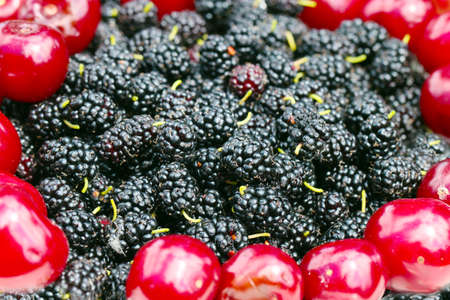 Beautiful ripe berries mulberry and cherry as a harvest of solid treesの写真素材