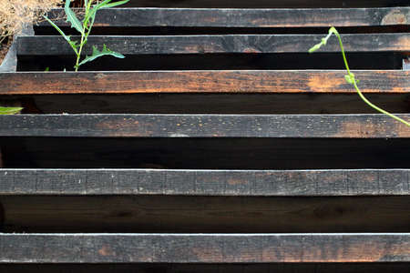 The texture and structure of the wooden steps of the ladder on the metal frameの写真素材