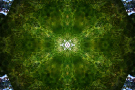 symmetrical abstract patternの写真素材