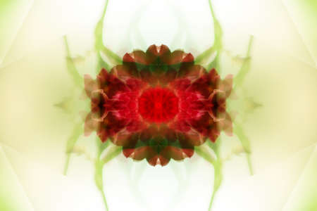 Beautiful symmetrical patterns with elements of a kaleidoscopeの写真素材