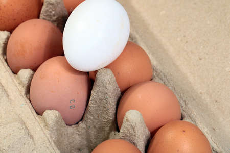 large chicken eggs in a cardboard box