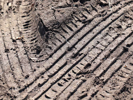 traces of car tires on the surface of the desert
