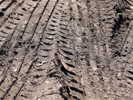 traces of car tires on the surface of the desertの写真素材