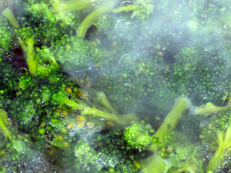 fresh ripe broccoli in boiling waterの写真素材