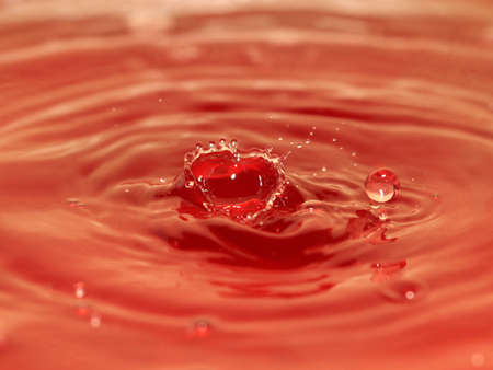 splash on the surface of a liquid after a drop of water