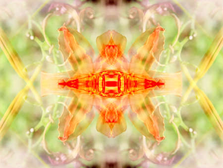 abstract background image of symmetrical patterns for creating seamless texturesの写真素材