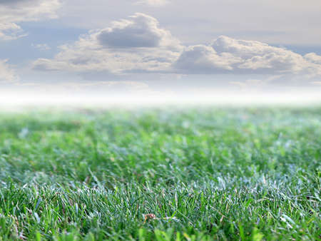 green grass lawn and blue sky over fieldの写真素材