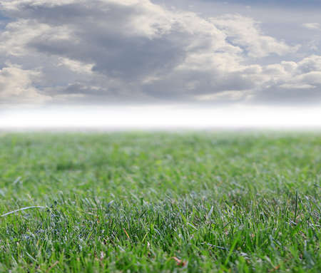 green grass lawn and blue sky over fieldの写真素材