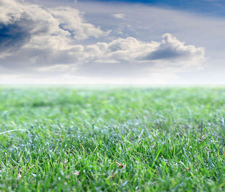 green grass lawn and blue sky over fieldの写真素材
