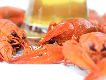 boiled crayfish as a beer snackの写真素材