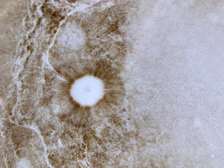 patterns on a dirty surface