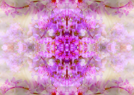 abstract floral patternsの写真素材