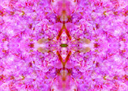 abstract floral patternsの写真素材