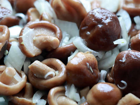 salted pickled mushroomsの写真素材