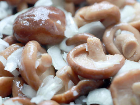 fresh pickled mushroomsの写真素材