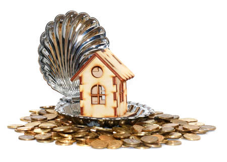 House and coins rubles