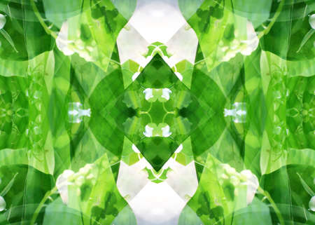 abstract image