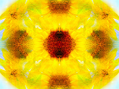 a beautiful symmetrical pattern obtained by studying wildlife in a kaleidoscopeの写真素材