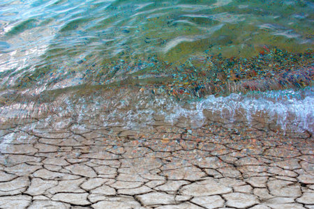 clean sea water floods the surface of the soil covered with salt marsh