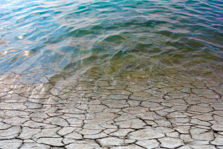 clean sea water floods the surface of the soil covered with salt marsh