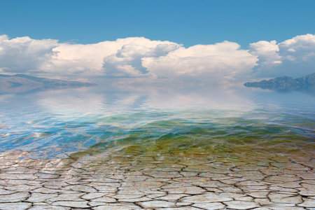 beautiful sea water and salt marsh under a sunny sky