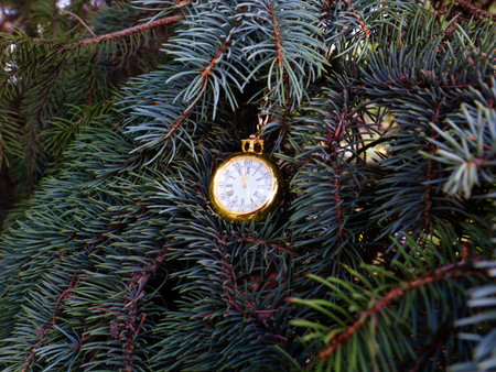 antique pocket watch in a gold case on a branch of a Christmas pine treeの写真素材
