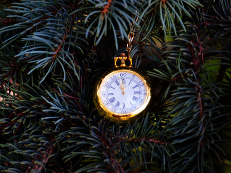 antique pocket watch in a gold case on a branch of a Christmas pine treeの写真素材