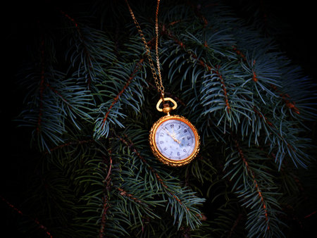 antique pocket watch in a gold case on a branch of a Christmas pine tree