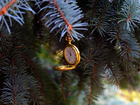 antique pocket watch in a gold case on a branch of a Christmas pine treeの写真素材