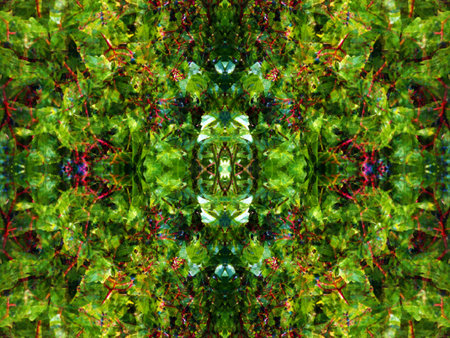 beautiful symmetrical background patterns when viewed in a kaleidoscope