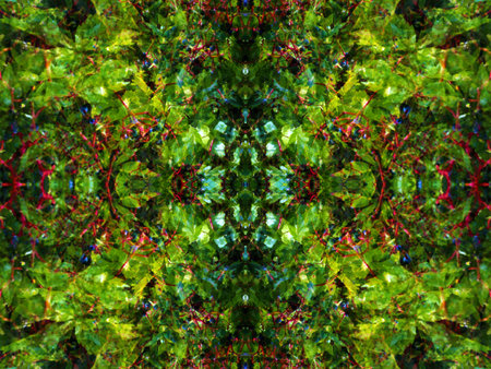 beautiful symmetrical background patterns when viewed in a kaleidoscope