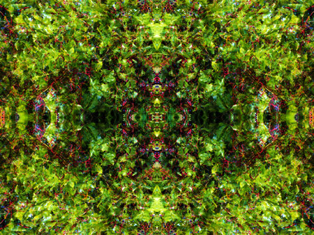 beautiful abstract symmetrical pattern for relaxation