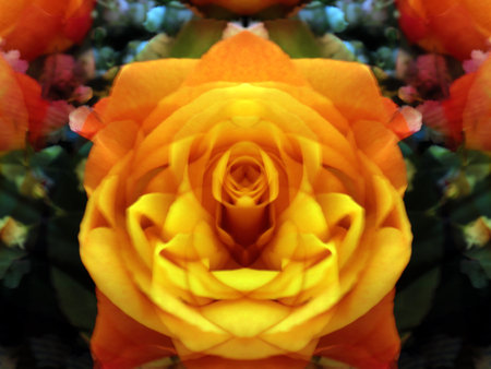 beautiful abstract symmetrical patternの写真素材