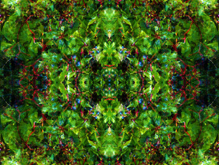 beautiful abstract symmetrical pattern for relaxation