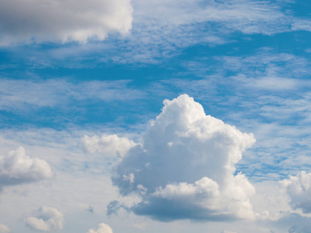 beautiful sunny sky above the horizon as a part of wildlife