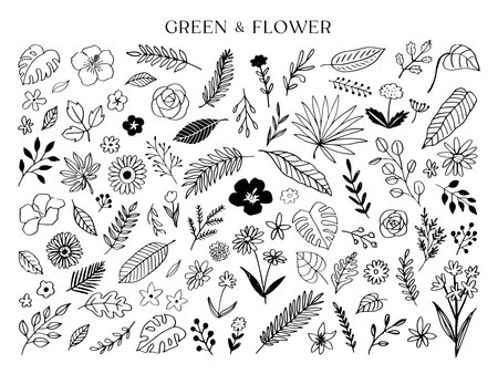 Greenery and flowers Line drawing. monochrome vector illustration.のイラスト素材