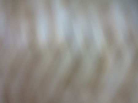 Blur backgrounds.の写真素材