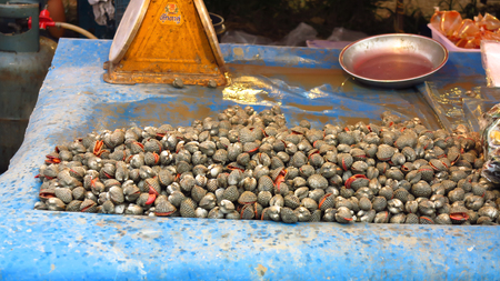 Fresh cockle on the tray at the market for sell.