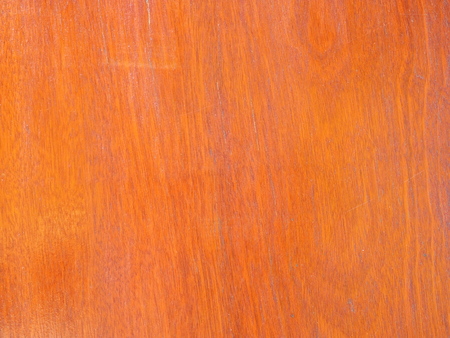 Abstract wood closeup like background textureの写真素材