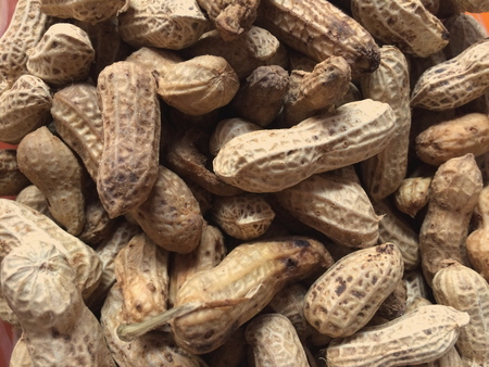 A lot of peanut for background