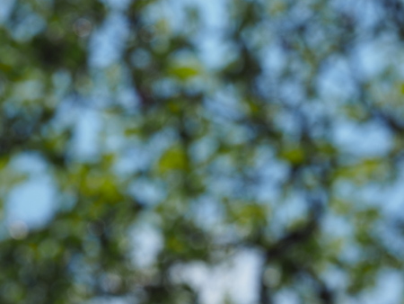 blur texture background.の写真素材