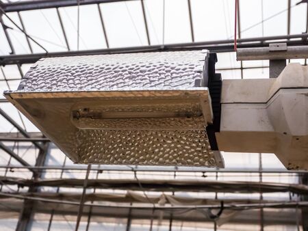 Bulb for plants in the greenhouse.の写真素材