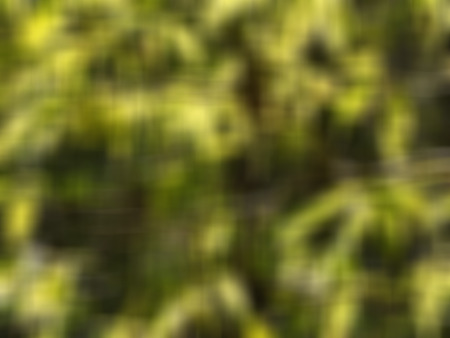 Abstract colorful background.の写真素材