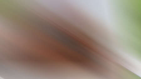 Abstract colorful background.の写真素材