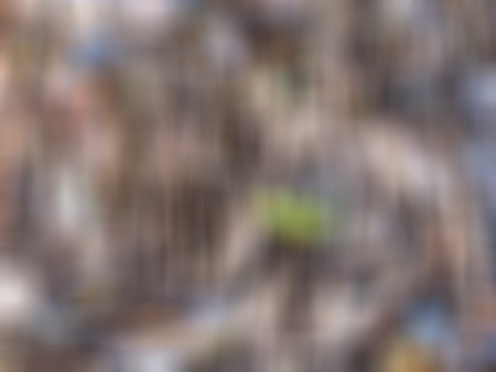 Abstract blur colour background.の写真素材